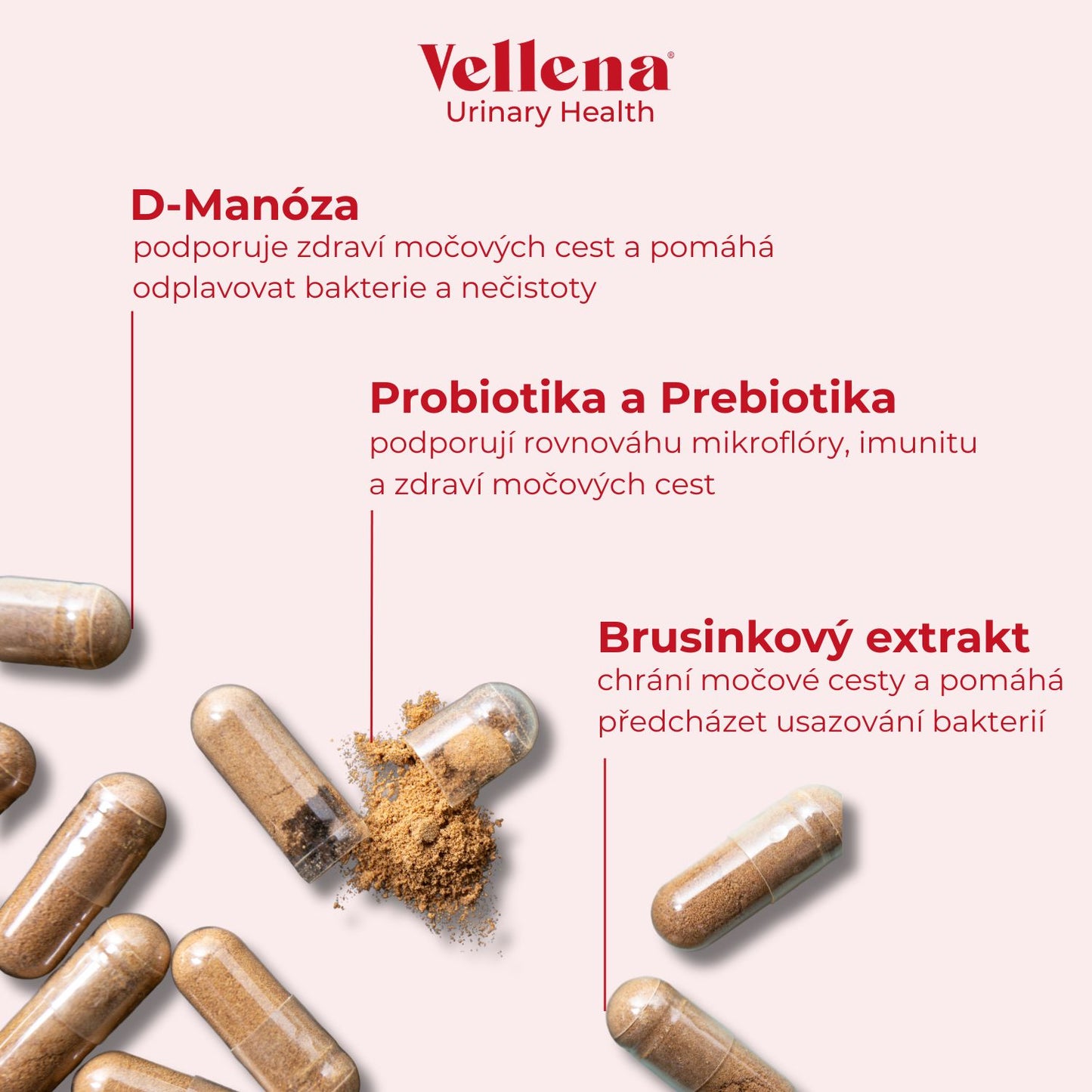Zvýhodněný balíček pro intimní zdraví | Zdraví močových cest + Intimní zdraví | Kapsle | Vellena